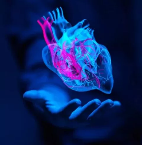 أمراض القلب وجراحة القلب-image